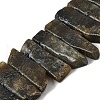 Natural Larvikite Beads Strands G-S386-D10-2