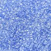 Transparent Colours Glass Round Seed Beads SEED-B001-06A-08-3
