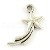 Tibetan Style Alloy Pendants TIBEP-S299-24AS-RS-1