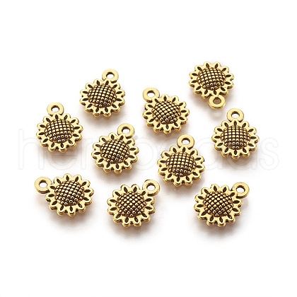 Tibetan Style Alloy Charms X-GLF10257Y-1