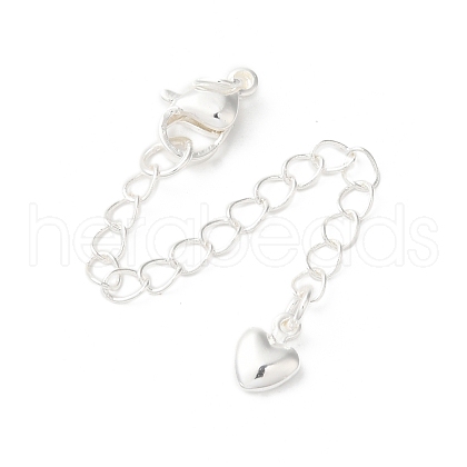 Rack Plating Brass Ends with Chain and Lobster Claw Clasps KK-F873-05S-1
