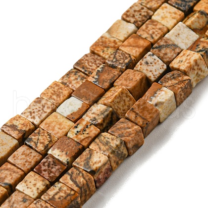 Natural Picture Jasper Beads Strands G-C129-A08-01-1