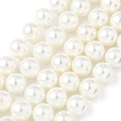 Shell Pearl Beads Strands BSHE-K015-10mm-04-1