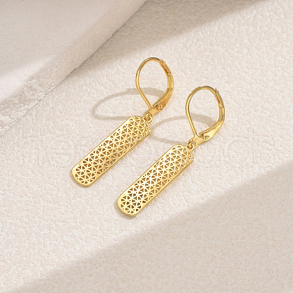 Brass Hollow Leverback Earrings VF9446-2-1
