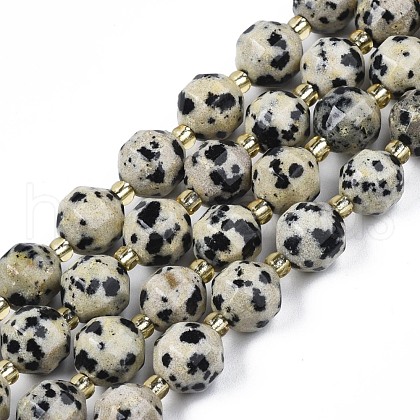Natural Dalmatian Jasper Beads Strands G-N326-100-02-1