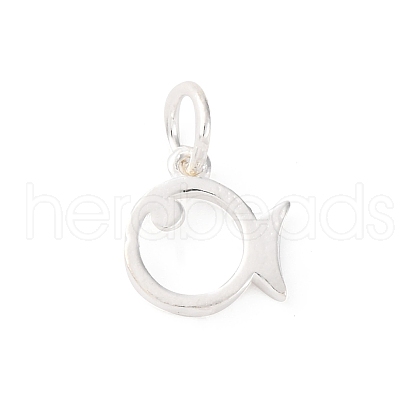 925 Sterling Silver Hollow Fish Charms STER-D304-01S-1