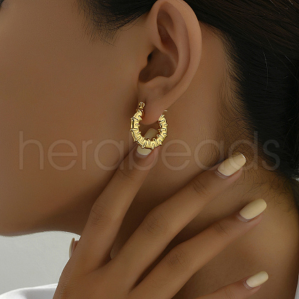 Twisted Stainless Steel Hoop Earrings for Women XH1248-1