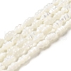 Natural Trochus Shell Beads Strands SHEL-M021-01-1