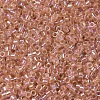 MIYUKI Delica Beads SEED-X0054-DB0054-3