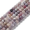 Natural Plum Blossom Tourmaline Beads Strands G-I355-01A-02-1