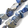 Natural Lapis Lazuli Beads Strands G-S386-C05-2