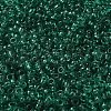 Transparent Colours Glass Round Seed Beads SEED-B001-06A-09-3