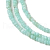 Natural Freshwater Shell Beads Strands SHEL-P017-01A-08-3