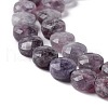 Natural Lepidolite/Purple Mica Stone Beads Strands G-D0003-A87-4