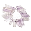 Natural Amethyst Beads Strands G-S386-D04-3