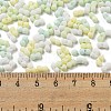 Macaron Color Opaque Frosted Glass Seed Beads X1-SEED-K009-12B-04-4