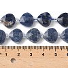Natural Sodalite Beads Strands G-D316-A02-4
