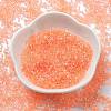 Transparent Colours Glass Seed Beads SEED-H003-01B-2