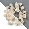 Natural Shell Beads Strands X-SHEL-K009-11-2