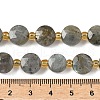 Natural Labradorite Beads Strands G-G271-C09-10mm-5