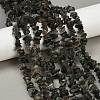 Natural Green Rutilated Quartz Beads Strands G-Q060-C03-2
