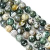 Natural Agate Round Gemstone Beads Strands X-G-R255-8mm-3