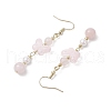 Natural Beads Dangle Earrings EJEW-JE06317-6