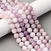 Natural Kunzite Beads Strands G-H313-01D-8mm-1