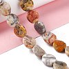 Natural Crazy Agate Beads Strands G-O120-13-2