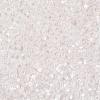 TOHO Japanese Seed Beads X-SEED-K007-2mm-121-2