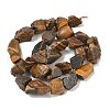 Raw Rough Natural Tiger Eye Beads Strands G-M453-D10-3