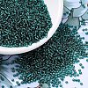 MIYUKI Round Rocailles Beads X-SEED-G007-RR0030-1