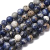 Natural Sodalite Beads Strands G-R015-B01-6mm-2