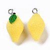 Opaque Resin Pendants RESI-T028-73-2
