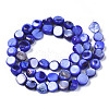 Natural Trochid Shell/Trochus Shell Beads Strands SHEL-S258-083-3