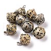 Natural Dalmatian Jasper Pendants G-B041-01P-06-1