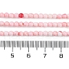 Natural Freshwater Shell Beads Strands BSHE-H109-14-5