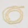 Grade AA Natural Cultured Freshwater Pearl Beads Strands PEAR-L003-C-03-01-3