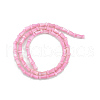 Natural Freshwater Shell Beads Strands SHEL-G013-02A-2