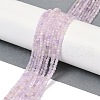 Natural Amethyst Beads Strands G-I379-B01-01-1