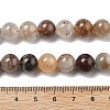 Natural Thousand Layer Lodolite Quartz Beads Strands G-M451-A01-10mm-5