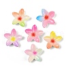 Opaque Resin Enamel Cabochons CRES-D308-09-2