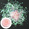 Shining Nail Art Glitter Powders MRMJ-R091-26H-1
