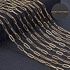 Beebeecraft 1 Roll PVD Vacuum Plating 304 Stainless Steel Paperclip Chains CHS-BBC0001-08-4