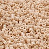 Opaque Colours Glass Seed Beads SEED-S042-09A-03-3