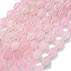 Natural Rose Quartz Beads Strands G-K389-D18-01-1