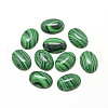 Synthetic Malachite Cabochons G-R415-14x10-38-1