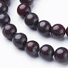 Gemstone Beads Strands GSR046-2