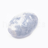 Natural Kyanite/Cyanite/Disthene Quartz Decorations G-S299-58-3