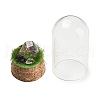 Natural Amethyst Nuggets Display Decoration with Glass Dome Cloche Cover DJEW-B009-04B-2